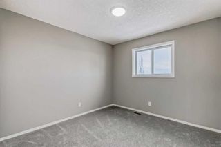Photo 28: 15785 Everstone Road SW in Calgary: Evergreen Detached for sale : MLS®# A2100834
