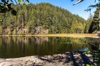 Photo 12: 865 FORSTER Lane: Bowen Island Land for sale in "The Lakelands" : MLS®# R2823568