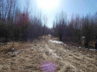 Photo 4: 279 ALASKA Highway in Fort Nelson: Fort Nelson - Rural Land for sale : MLS®# R2771698