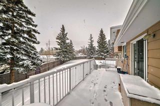 Photo 39: 14 Varmoor Place NW in Calgary: Varsity Detached for sale : MLS®# A2116711