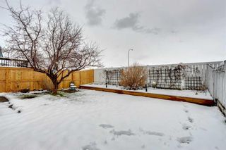 Photo 38: 129 Douglas Ridge Circle SE in Calgary: Douglasdale/Glen Detached for sale : MLS®# A2125908