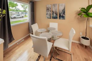 Photo 6: 433 Rosseau Avenue in Winnipeg: West Transcona Residential for sale (3L)  : MLS®# 202320786