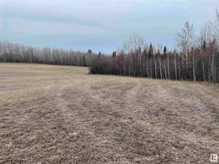 Photo 5: Twp 492 RR 52: Rural Brazeau County Rural Land/Vacant Lot for sale : MLS®# E4289275