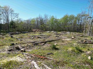 Photo 8: Lot 22-5 Logan Road in Frasers Mountain: 108-Rural Pictou County Vacant Land for sale (Northern Region)  : MLS®# 202310170