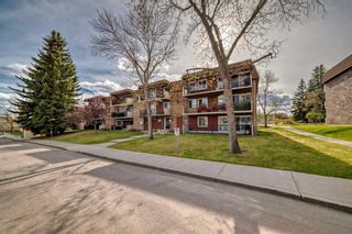 Photo 33: 88E 231 Heritage Drive SE in Calgary: Acadia Apartment for sale : MLS®# A2132710