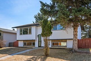 Photo 37: 207 Queen Anne Place SE in Calgary: Queensland Detached for sale : MLS®# A1093747
