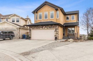 Photo 1: 309 Crystal Shores View: Okotoks Detached for sale : MLS®# A1212173