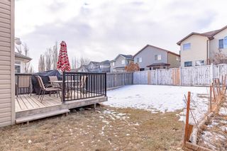 Photo 40: 229 Evansmeade Circle NW in Calgary: Evanston Detached for sale : MLS®# A2020074