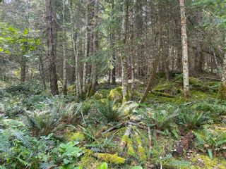 Photo 35: LOT 11 DISTRICT LOT 71 AND 77: Galiano Island Land for sale (Islands-Van. & Gulf)  : MLS®# R2706173