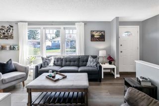 Photo 3: 611 Markerville Road NE in Calgary: Mayland Heights Detached for sale : MLS®# A2145233