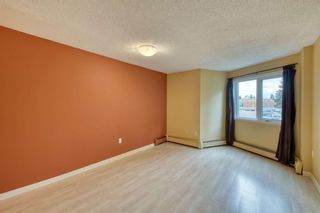 Photo 14: 308 816 89 Avenue SW in Calgary: Haysboro Apartment for sale : MLS®# A1228379