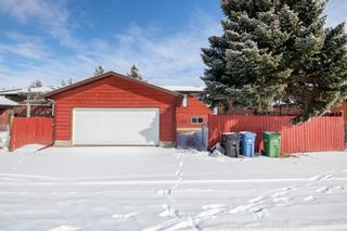 Photo 33: 559 Templeby Place NE in Calgary: Temple Detached for sale : MLS®# A1189461