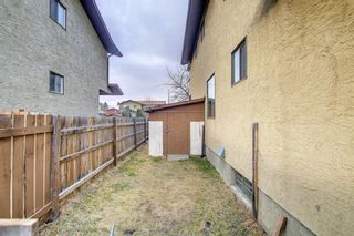 Photo 48: 33 Templeton Bay NE in Calgary: Temple Detached for sale : MLS®# A1199751