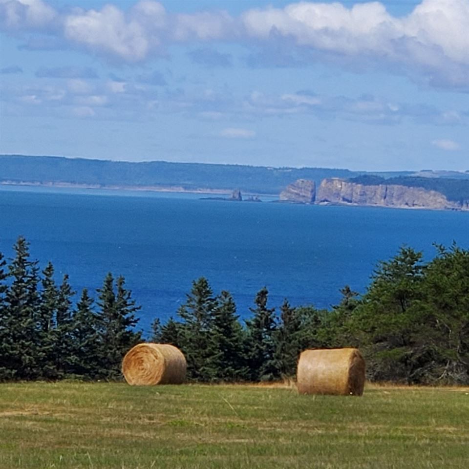 Main Photo: Lot Baxters Harbour Road in Baxters Harbour: 404-Kings County Vacant Land for sale (Annapolis Valley)  : MLS®# 202016507