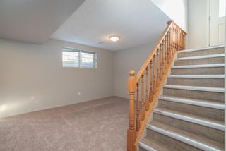 Photo 19: 3719 28 Street SE in Calgary: Dover Detached for sale : MLS®# A1040737