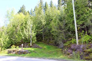 Photo 30: 1706 Blind Bay Road: Blind Bay Vacant Land for sale (South Shuswap)  : MLS®# 10185440