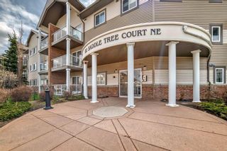 Photo 4: 205 92 saddletree Court NE in Calgary: Saddle Ridge Apartment for sale : MLS®# A2129658