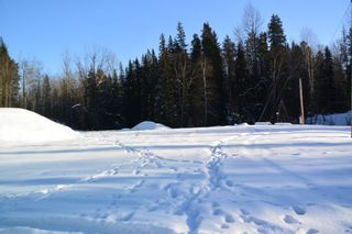 Photo 4: LOT A W 16 Highway in Smithers: Smithers - Town Land for sale (Smithers And Area (Zone 54))  : MLS®# R2533470