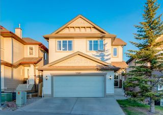 Photo 41: 248 EVANSBROOKE Way NW in Calgary: Evanston Detached for sale : MLS®# A1221592