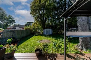 Photo 16: 226 Highland Avenue in Oshawa: Central House (Bungalow) for sale : MLS®# E5408432