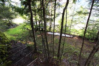 Photo 15: 1706 Blind Bay Road: Blind Bay Vacant Land for sale (South Shuswap)  : MLS®# 10185440