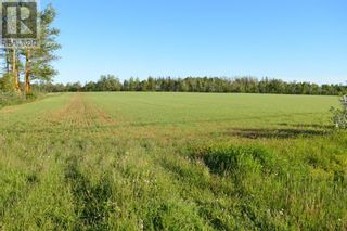 Photo 8: 0 Dickie Road in Borden-Carleton: Vacant Land for sale : MLS®# 202212634