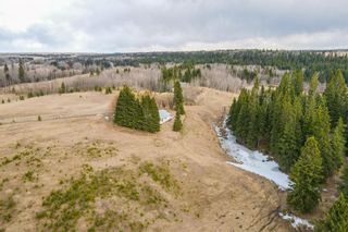 Photo 29: 64049 (A&B) Highway 54: Rural Clearwater County Agriculture for sale : MLS®# A1209840