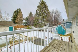 Photo 42: 128 4 Avenue NW: Airdrie Detached for sale : MLS®# A1171493