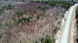 Photo 6: Lot Willow Church Road in Balfron: 103-Malagash, Wentworth Vacant Land for sale (Northern Region)  : MLS®# 202208213