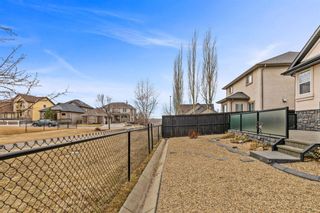 Photo 29: 274 Cranleigh View SE in Calgary: Cranston Detached for sale : MLS®# A1197633