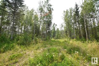 Photo 9: 9 Ovich Lane, Skeleton Lake Est. NW: Rural Athabasca County Vacant Lot/Land for sale : MLS®# E4344360
