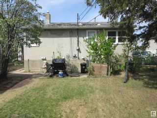 Photo 21: 9825 163 Street NW in Edmonton: Zone 22 House for sale : MLS®# E4340398