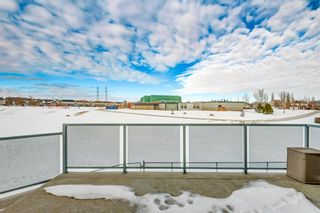 Photo 24: 797 Crystal Beach Bay: Chestermere Detached for sale : MLS®# A2020076