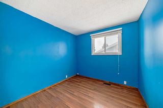 Photo 16: 176 Dovely Crescent SE in Calgary: Dover Detached for sale : MLS®# A2118047