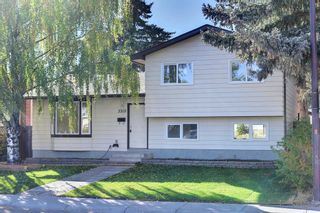 Photo 1: 3315 Doverthorn Road SE in Calgary: Dover Detached for sale : MLS®# A2003404