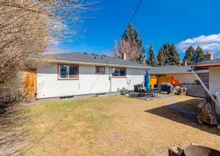 Photo 18: 39 Healy Drive SW in Calgary: Haysboro Detached for sale : MLS®# A1206322