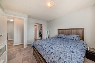 Photo 16: 406 20 Dover Point SE in Calgary: Dover Apartment for sale : MLS®# A2141730