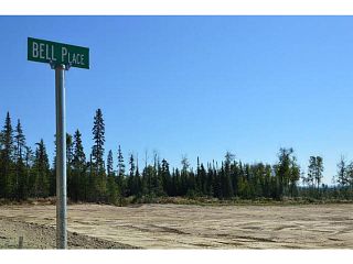 Photo 18: LOT 9 BELL Place in Mackenzie: Mackenzie -Town Land for sale in "BELL PLACE" : MLS®# N227302