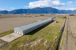 Photo 17: 40650 NO. 5 Road in Abbotsford: Sumas Prairie Agri-Business for sale : MLS®# C8050431