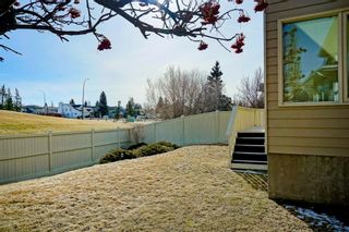 Photo 37: 16 Scenic Hill Close NW in Calgary: Scenic Acres Detached for sale : MLS®# A1207761