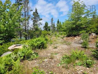 Photo 10: Highway 7 in Spry Harbour: 35-Halifax County East Vacant Land for sale (Halifax-Dartmouth)  : MLS®# 202219207