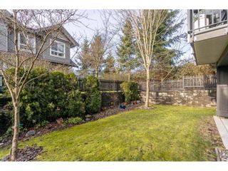 Photo 38: 33 21867 50 Avenue in Langley: Murrayville Townhouse for sale in "Murrayville's Winchester" : MLS®# R2531556