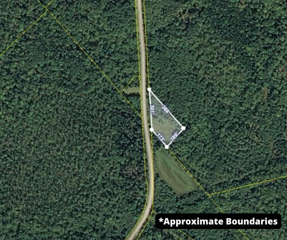 Main Photo: Lot Jones Road in Blue Mountain: Kings County Vacant Land for sale (Annapolis Valley)  : MLS®# 202309170