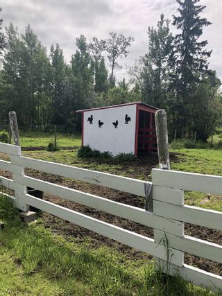 Photo 21: 9250 S WANSA Road in Prince George: Pineview Manufactured Home for sale in "Pineview" (PG Rural South (Zone 78))  : MLS®# R2467019