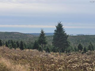 Photo 5: 3200 Clam Harbour Road in Clam Harbour: 35-Halifax County East Vacant Land for sale (Halifax-Dartmouth)  : MLS®# 202226870