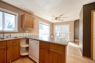 Photo 20: 172 ERIN MEADOW Way SE in Calgary: Erin Woods Detached for sale : MLS®# A1028932