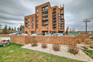 Photo 2: 913 8604 48 Avenue NW in Calgary: Bowness Apartment for sale : MLS®# A2126675