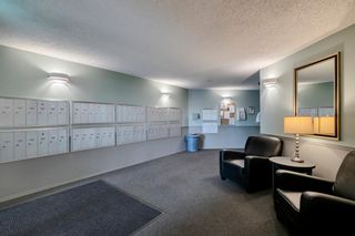Photo 23: 106 10 Dover Point SE in Calgary: Dover Apartment for sale : MLS®# A1173162