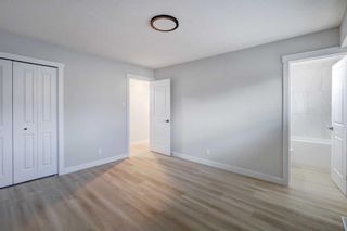 Photo 13: 4 Van Horne Crescent NE in Calgary: Vista Heights Detached for sale : MLS®# A2133720