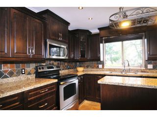 Photo 9: 23635 TAMARACK Lane in Maple Ridge: Albion House for sale in "KANAKA RIDGE" : MLS®# V1054602
